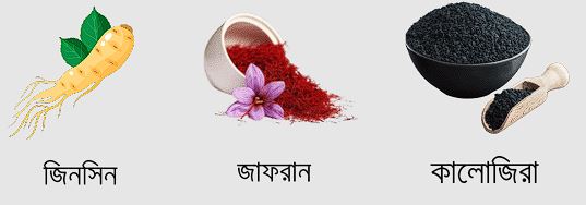 সাফরান টাইম ডেভেলপ উপাদান ৩